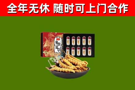 苏仙区回收冬虫夏草价格