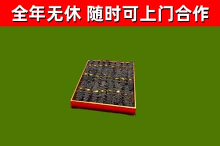 苏仙区回收海参